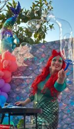 Bubble show - Image 5