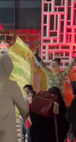 Butterfly show - Image 2