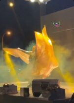 Butterfly show - Image 5