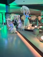 Light Umbrella - Image 3