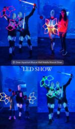 LED Show - Image 7