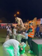 Musical Madagascar - Image 4