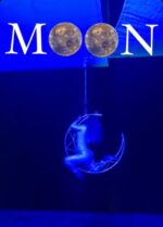 Moonlight aerial - Image 2