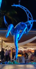 Moonlight aerial - Image 6