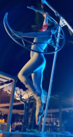 Moonlight aerial - Image 7