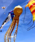 Sea Theme Kite Display and Family